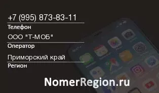 Кто звонил с 9958738311 - регион и оператор